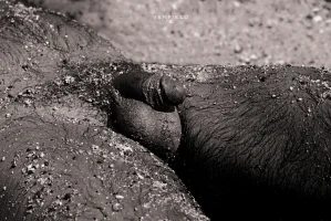 xtumblr_mhnwigj71q1rvcc0oo1_1280No Ka Oi, Hawaii  2013.webp