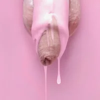 02061  gay penis art (54).webp