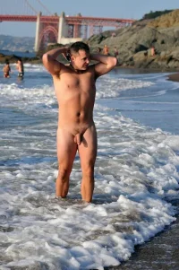 sf bay.webp