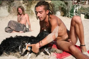 beach-dogs.webp