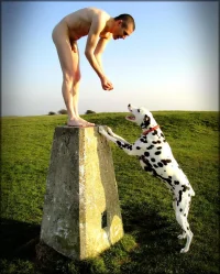 good-dog.webp