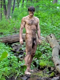 woods19.webp