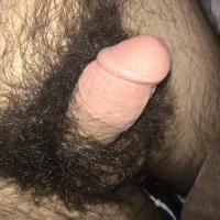 kXhvANi.webp