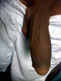 904_1000.webp