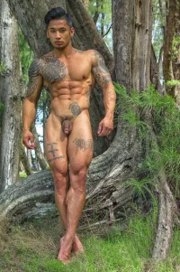 naked men sex cruising 01983 gayfancy (34).webp