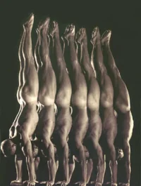 Naked Gymnasts.webp