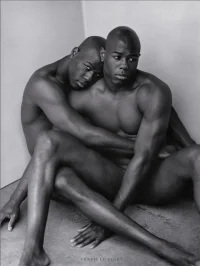 ztumblr_mjx3lebDyE1rvcc0oo1_1280A More Perfect Union, Twin Study _1, 2013 Venfield 8_LI.webp