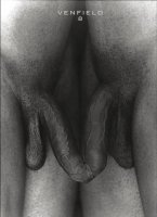ztumblr_mjx3lebDyE1rvcc0oo1_1280A More Perfect Union, Twin Study _1, 2013 Venfield 8a.jpg