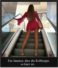 Rolltreppe_zu_kurz.webp