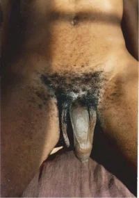 tumblr_o09r885Roh1rgy2n2o1_500.webp