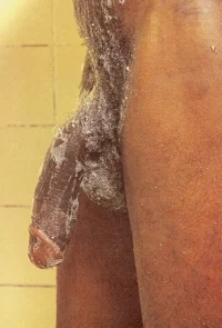 tumblr_p3zk2hbgyj1rgy2n2o1_500.webp