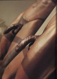 tumblr_p13t3ihUxF1rgy2n2o1_500.webp