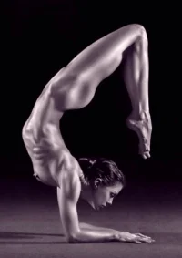 e807fa8265ffa9a9e4c47bc579e72639.webp