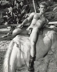 Gerald Sulliavan.webp