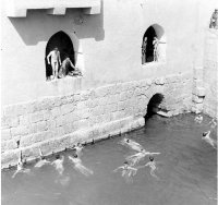 1-Soldiers-at-Gafsa-Screen-Shot-2020-01-25-at-5.01.19-PM.jpg