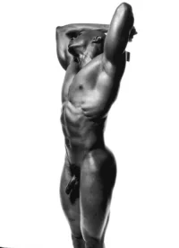 healy002.webp