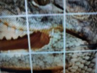 20201223_233502.jpg