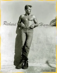 Dick Harrison 008b.webp