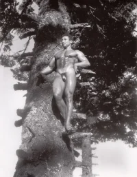 Denfield Harpo 001.webp