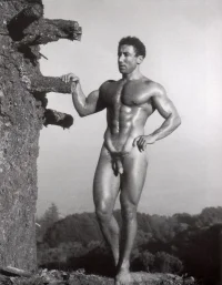 Denfield Harpo 002.webp