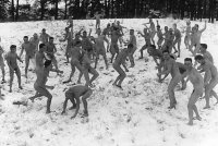 Gruppe001c.jpg