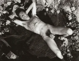 pubes.webp