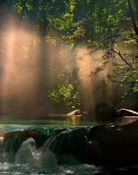 673_1000.webp