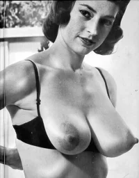 vintage 003.webp