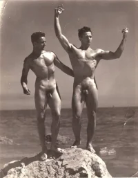 Vintage 10333.webp