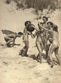 278_1000.webp