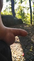 DSC_1203.JPG