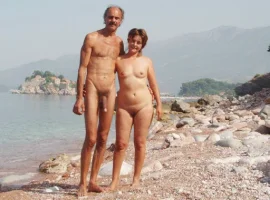 54677.webp