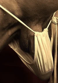 bikinis for boys  01882 gayfancy (23).webp