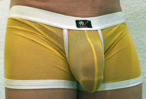 gay thongs gayfancy 01810 (12).webp