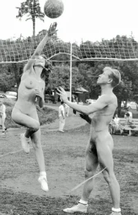 334_1000.webp