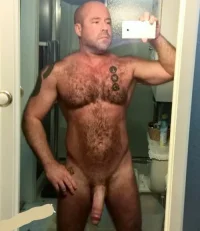 cock-selfie-mature-hairy-hung-bull_LI.webp