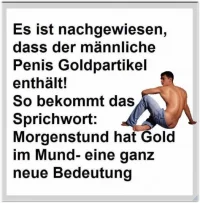 morgenstund.webp