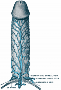 1616330259551.png