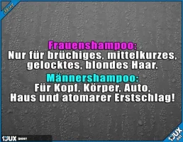 01.webp