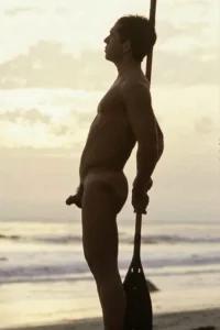334_1000.webp