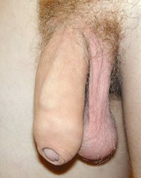 tumblr_lrd9rdIYvA1qc7fw2o1_500.jpg