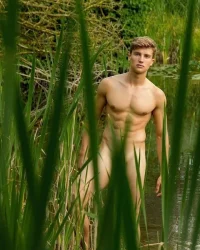 245_1000.webp
