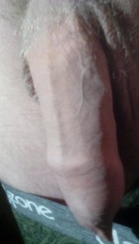 740_1000.jpg