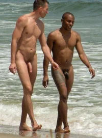 167_1000.webp