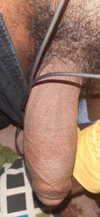 026_1000.webp