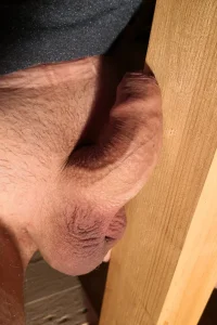Dachstuhl.webp