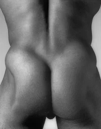 e614bbff042a06600ac33509636d73a1.webp