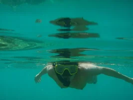 hofficesuche water  (3).webp
