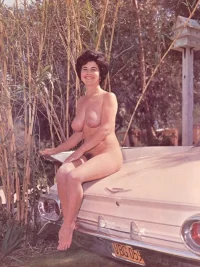 hofficesuche vintage (18).webp