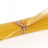 Spaghetty